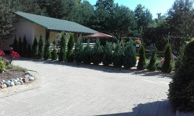 Mustvee Creek Cottage Luaran gambar
